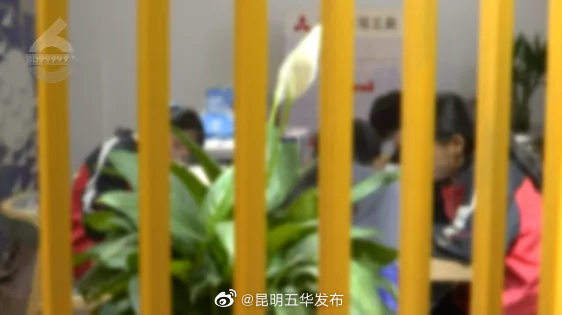 “昆明五华发布”微博