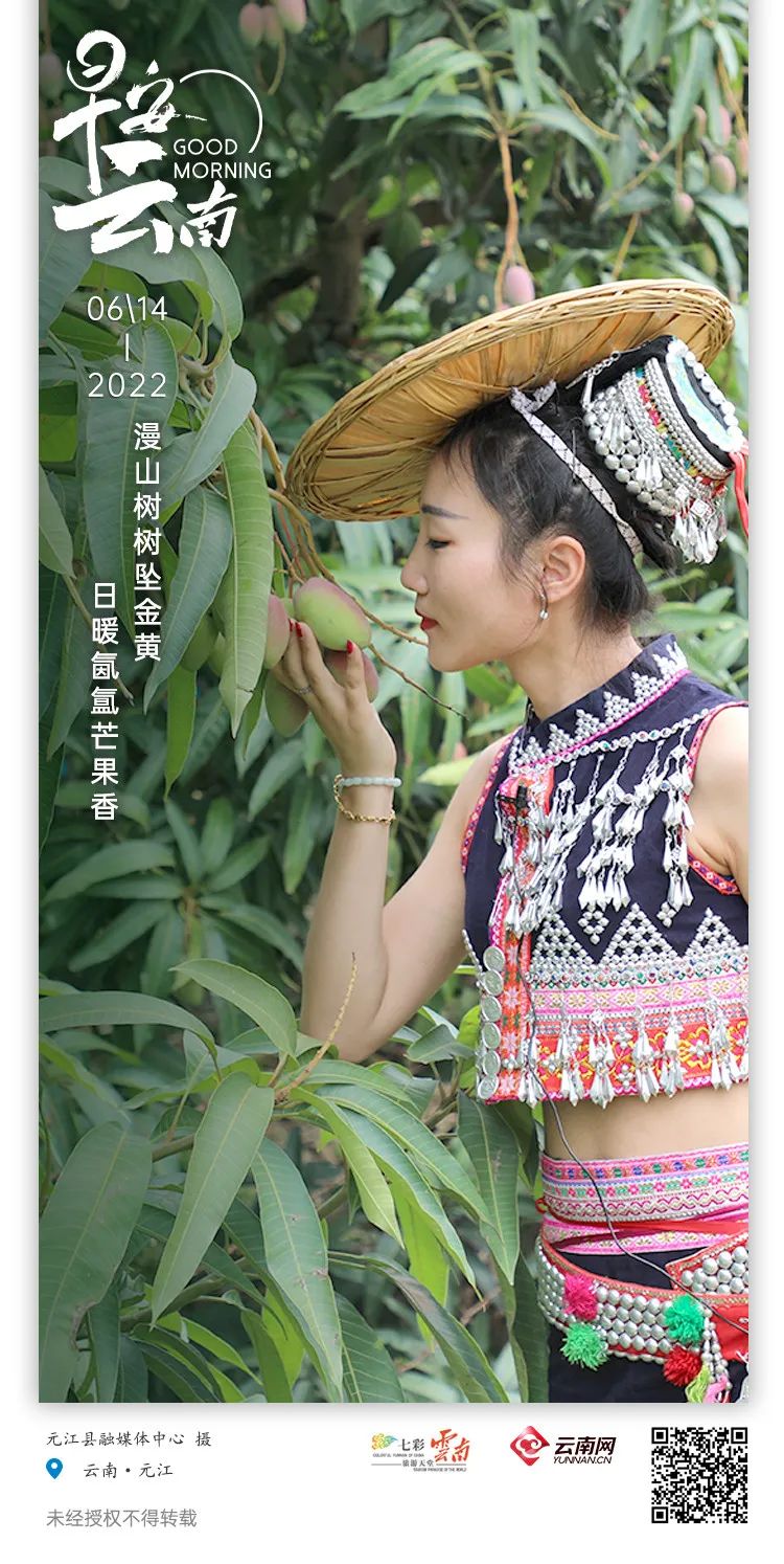 云南省人民政府网