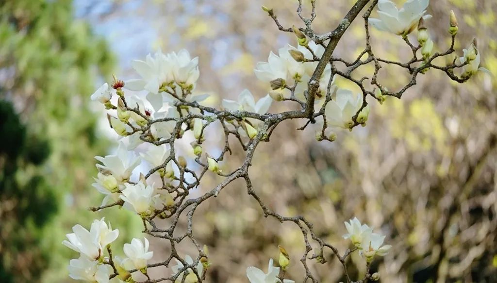 昆明信息港/cnkmxxg