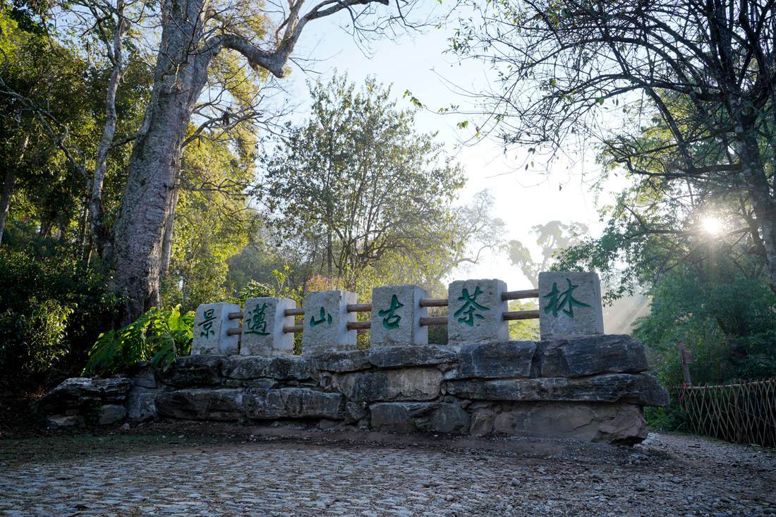 云南省文化和旅游厅