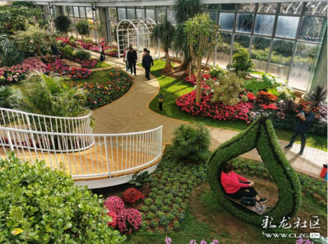 昆明信息港/cnkmxxg