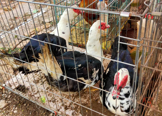 昆明五华发布