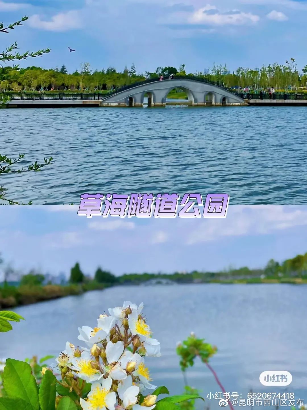 昆明市西山区发布