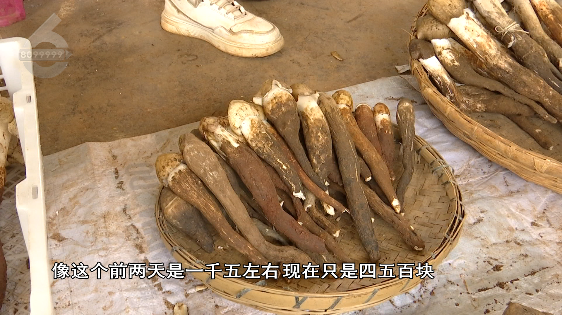 昆明信息港/cnkmxxg