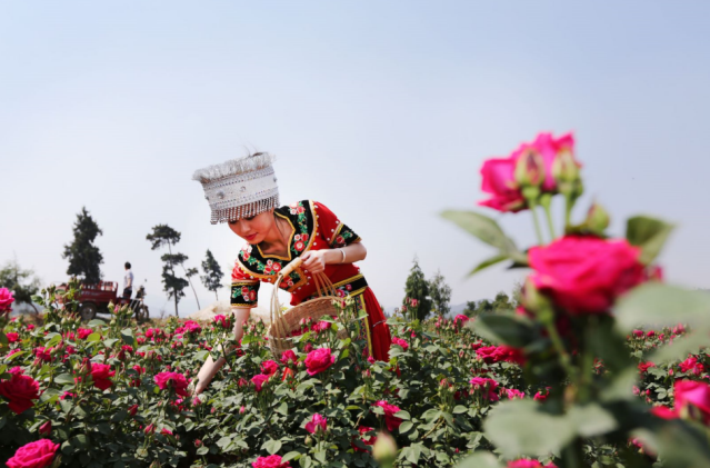 云南省文化和旅游厅