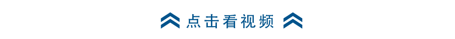 微观盘龙