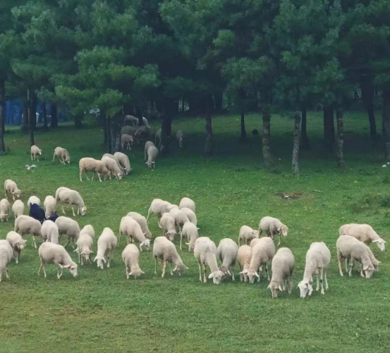 昆明文旅