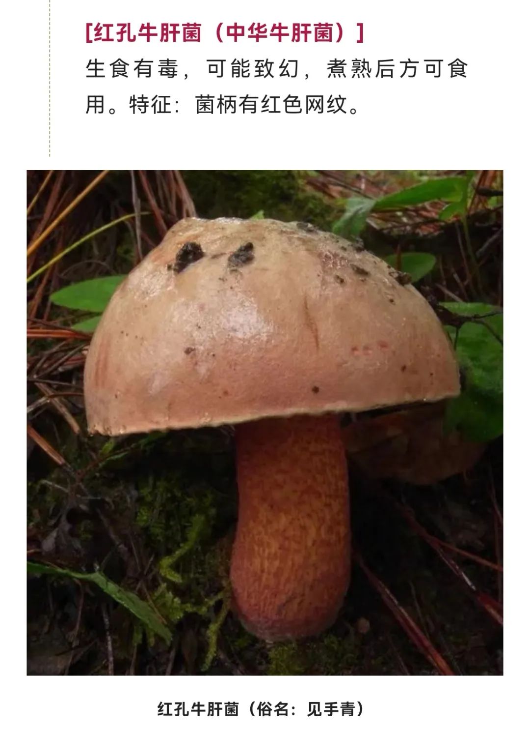 美丽云南微科普