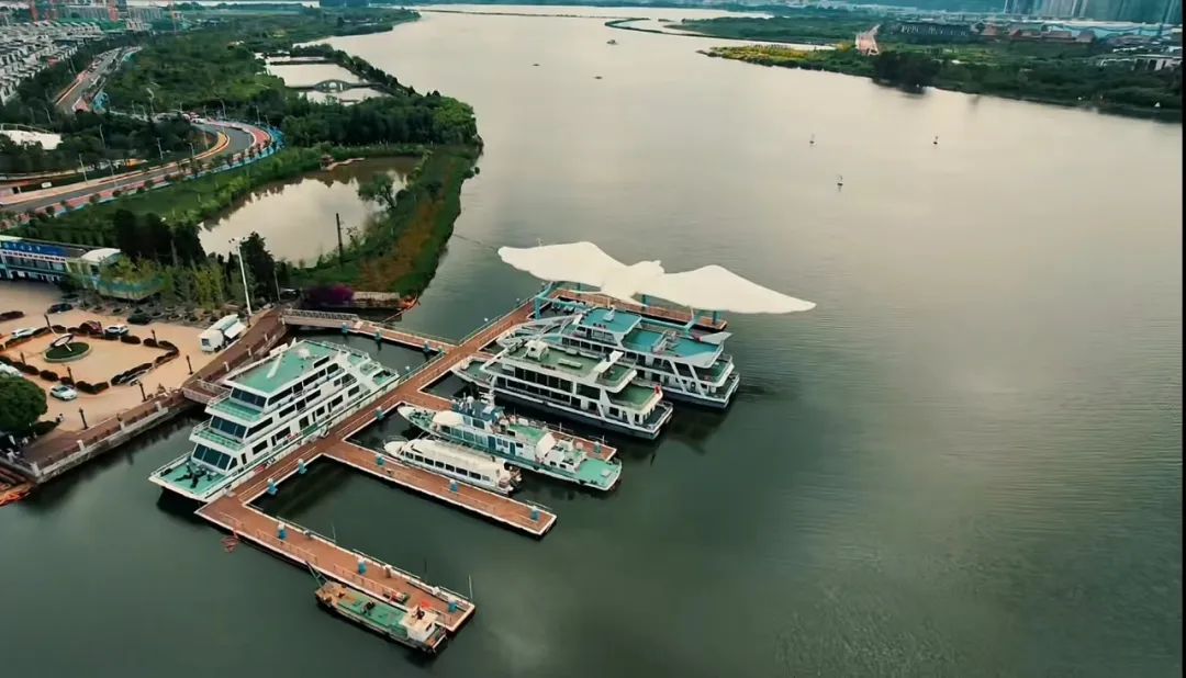 昆明信息港/cnkmxxg