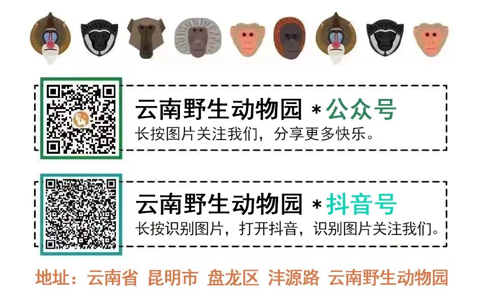云南野生动物园