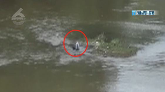 昆明信息港/cnkmxxg