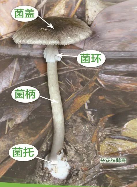 云南法制报