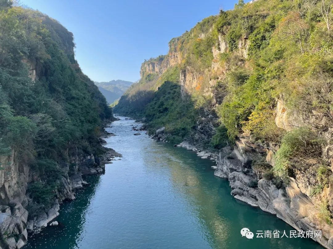 云南省人民政府网