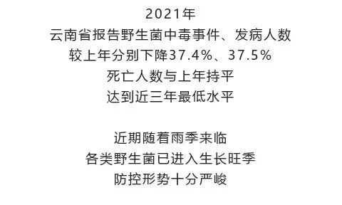 云南法制报