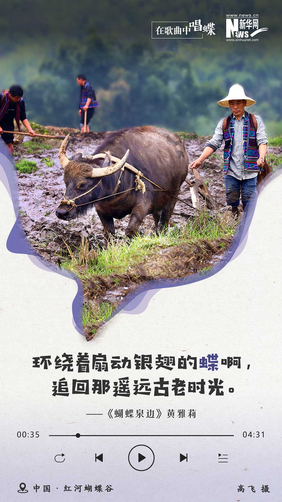 新华网云南频道