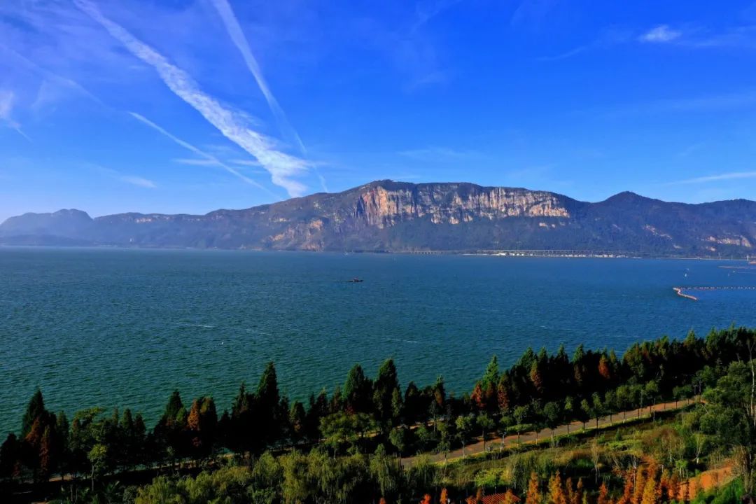 云南省人民政府网