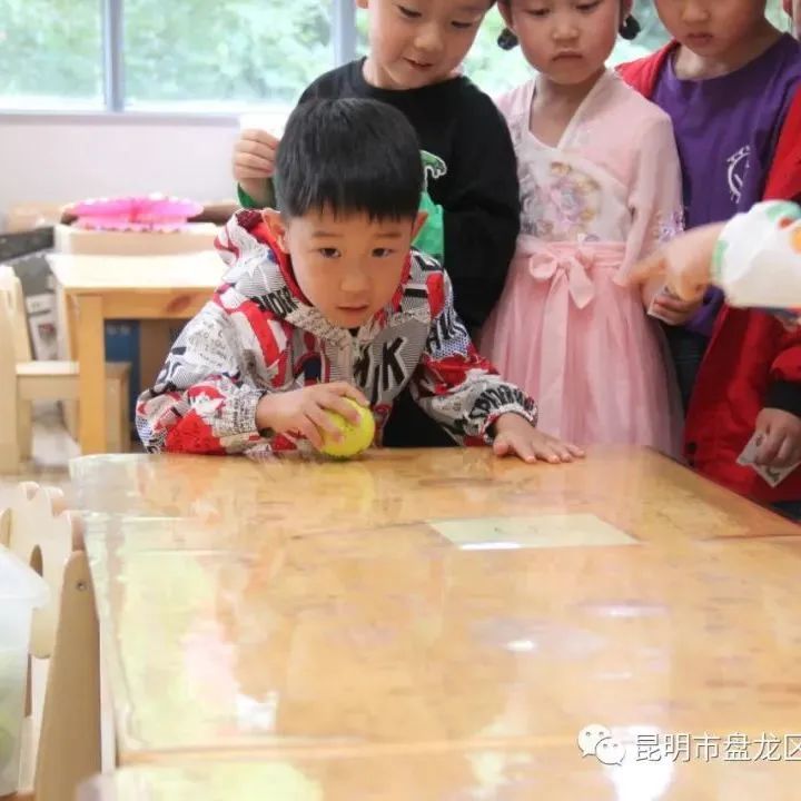 盘龙教育(微信)