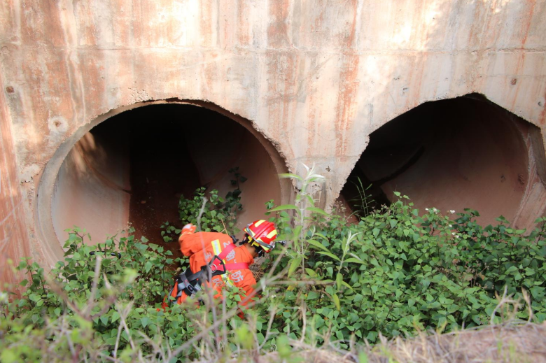 昆明信息港/cnkmxxg