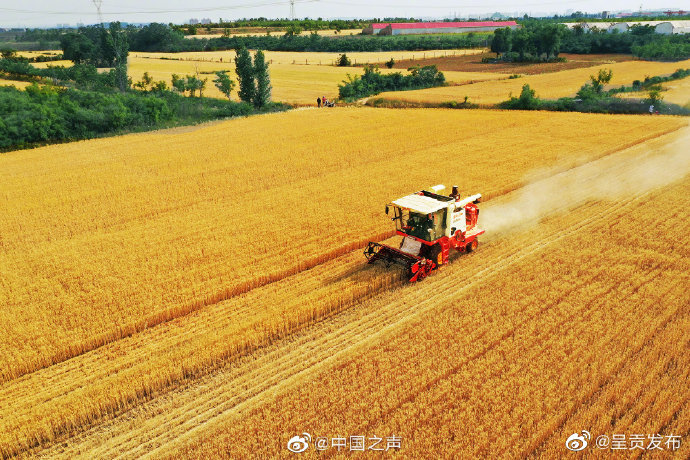 全国麦收已完成