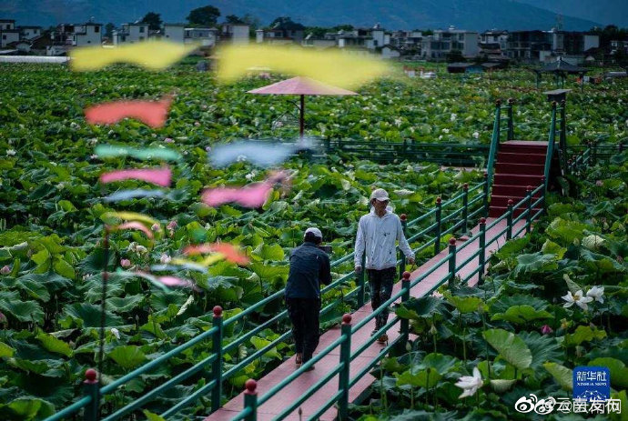 “云南发布”微博