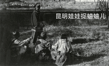 昆明市博物馆