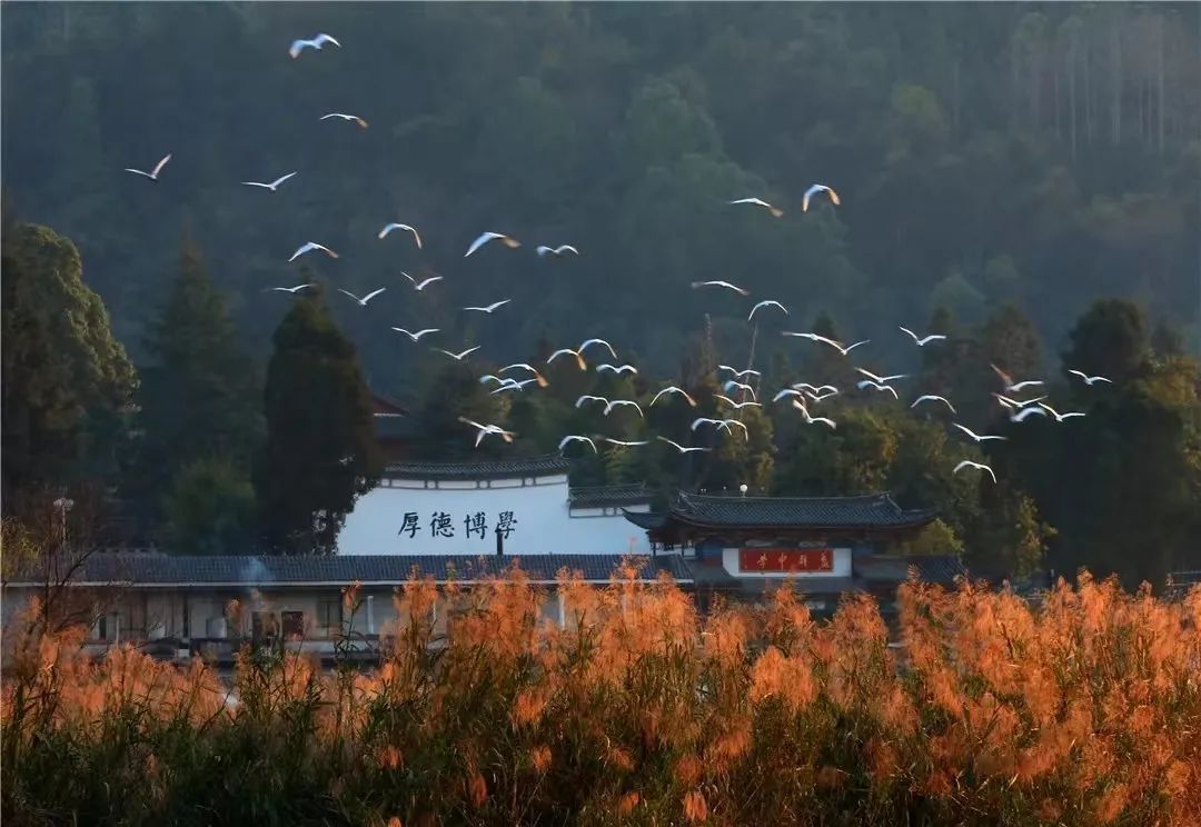 云南省文化和旅游厅