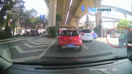 掌上春城