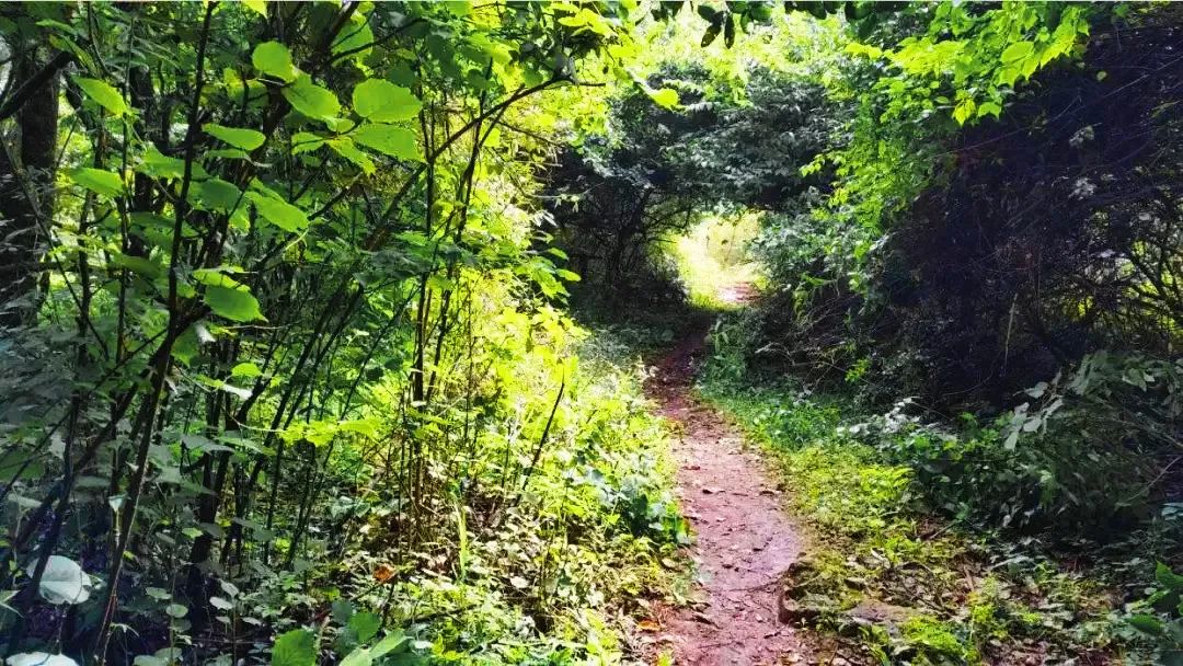 昆明文旅