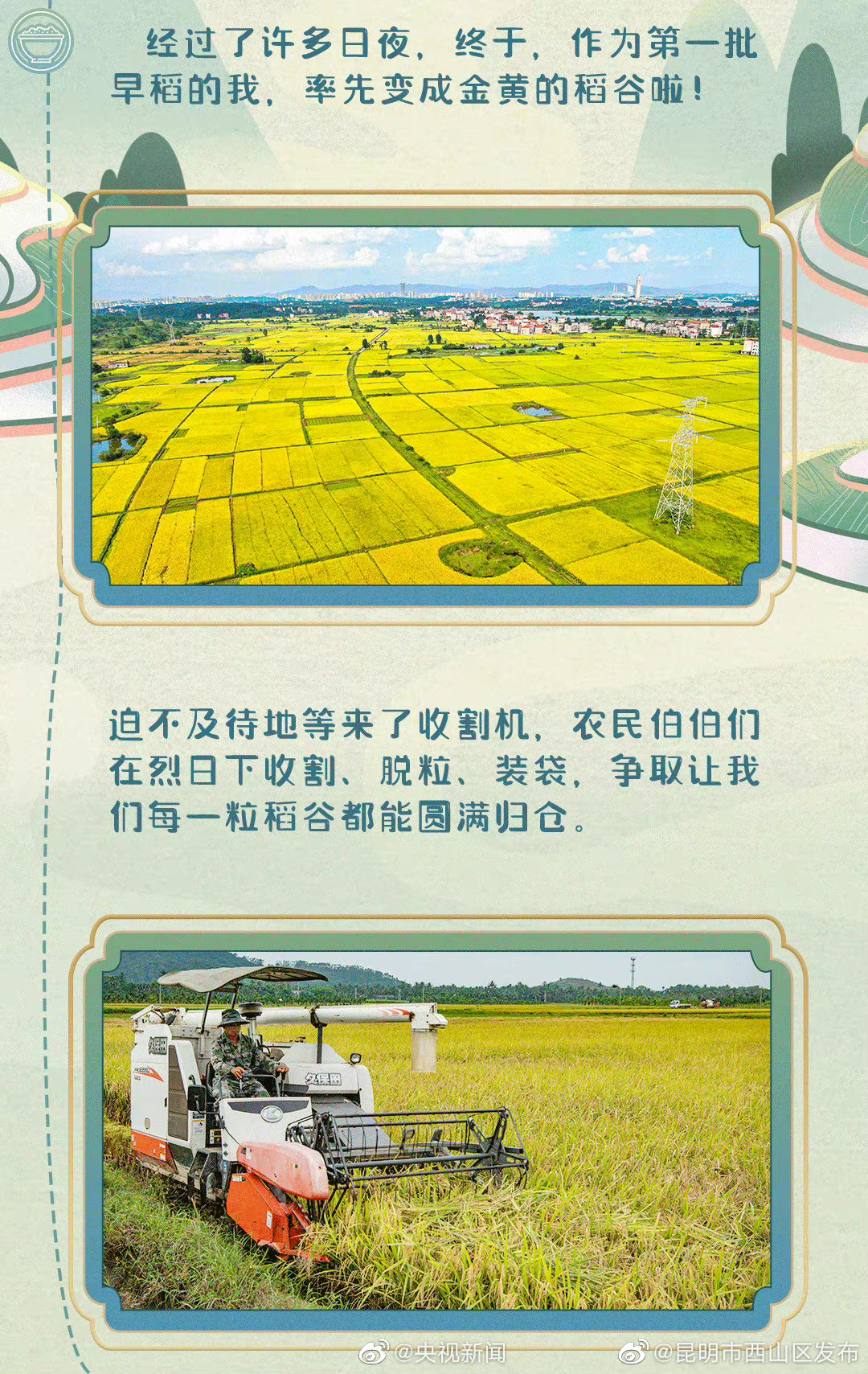 昆明市西山区发布