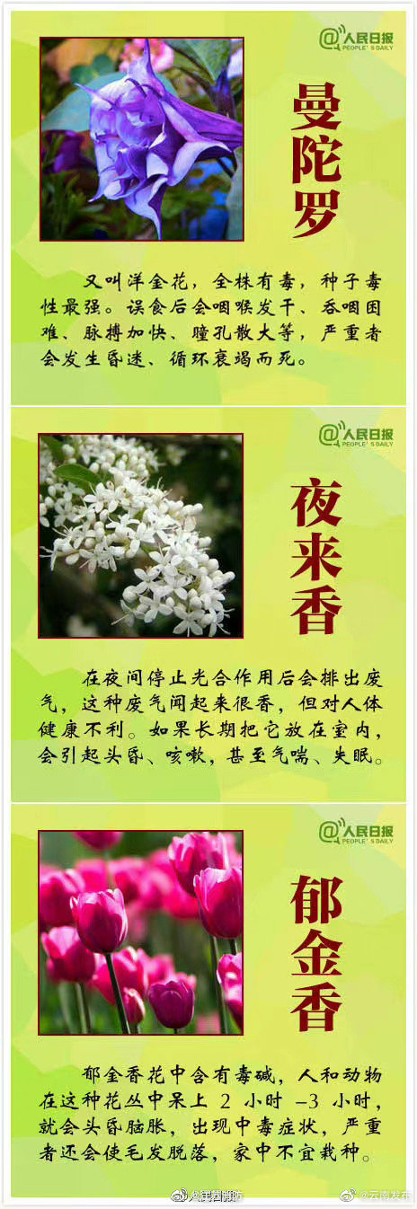 “云南发布”微博