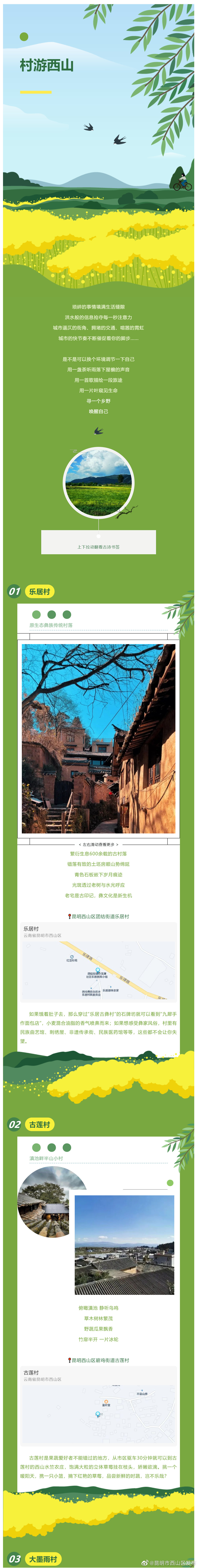 昆明市西山区发布