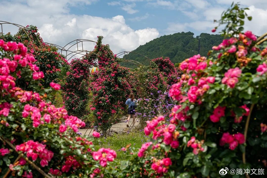 腾冲文旅微博