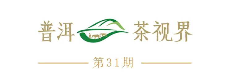 普洱日报