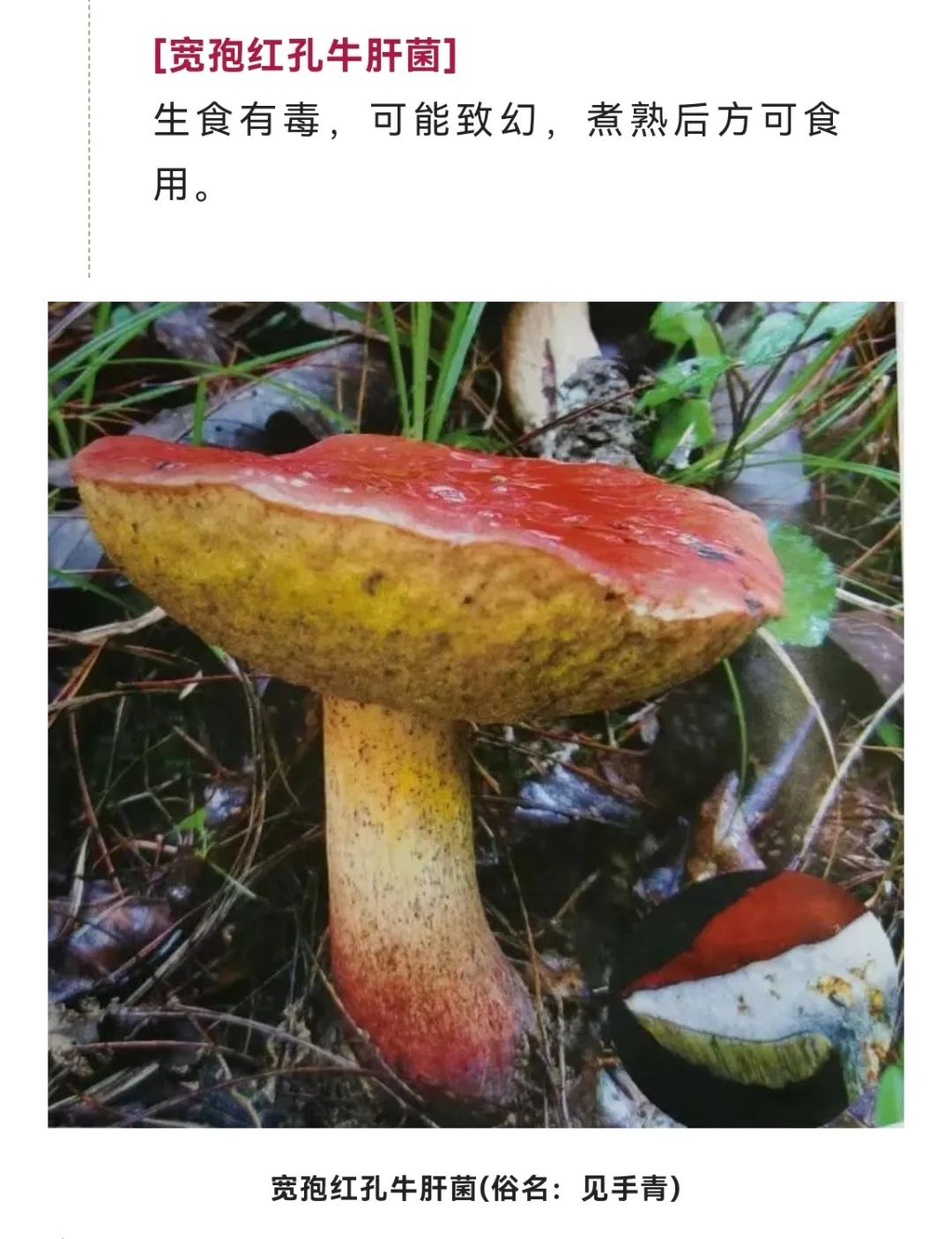 美丽云南微科普