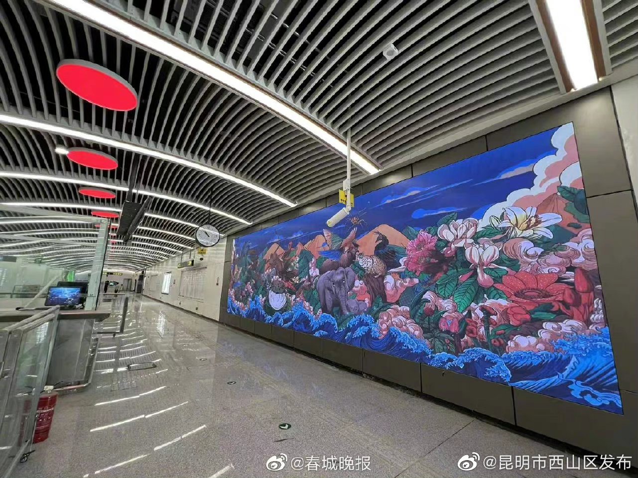 昆明市西山区发布