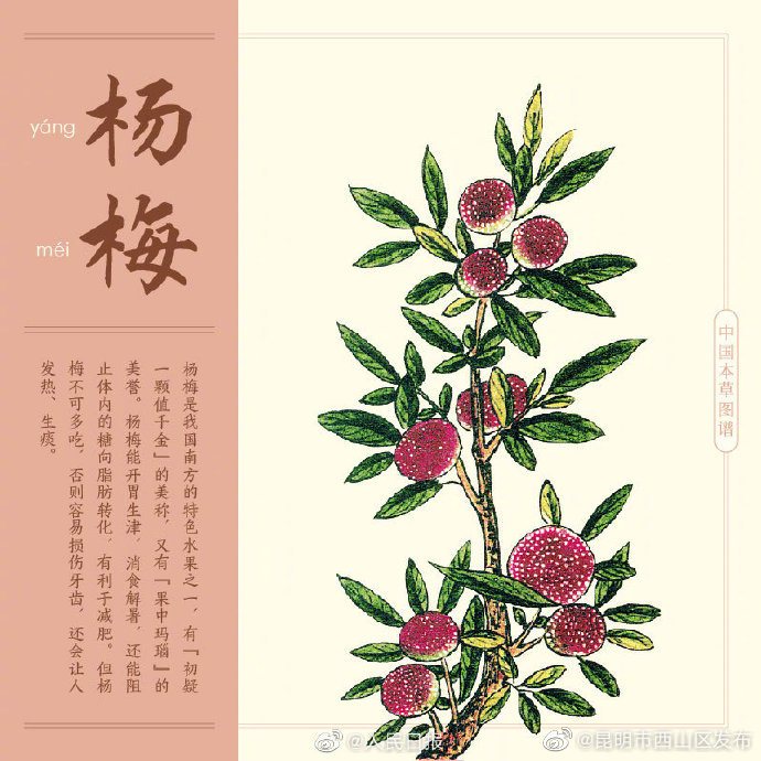 昆明市西山区发布