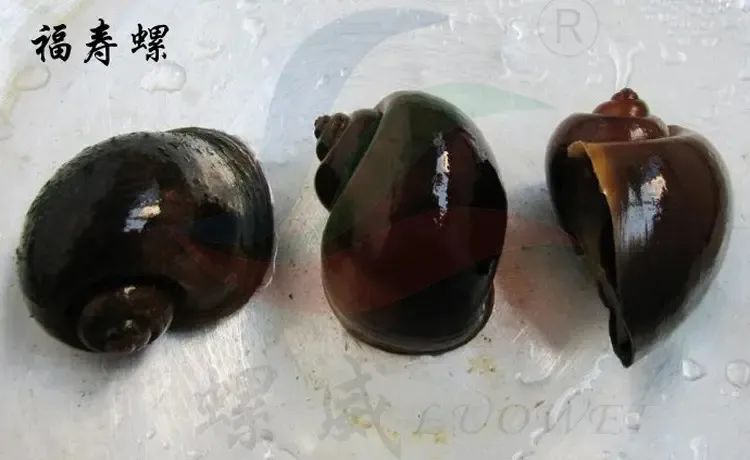 云南疾控