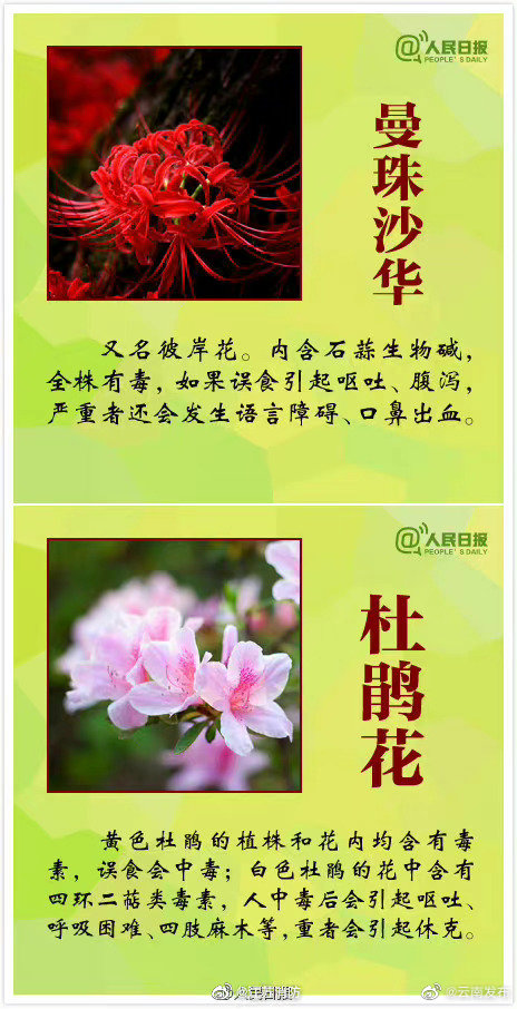 “云南发布”微博