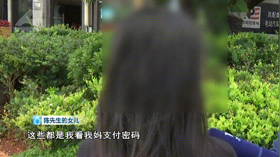 掌上春城