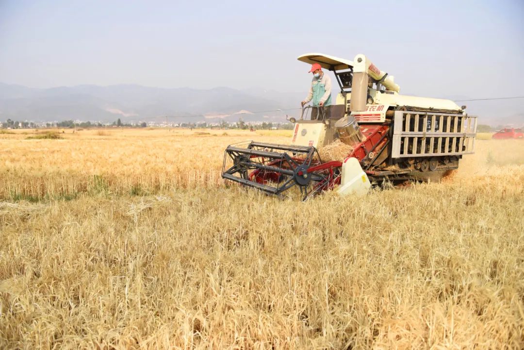 云南省人民政府网