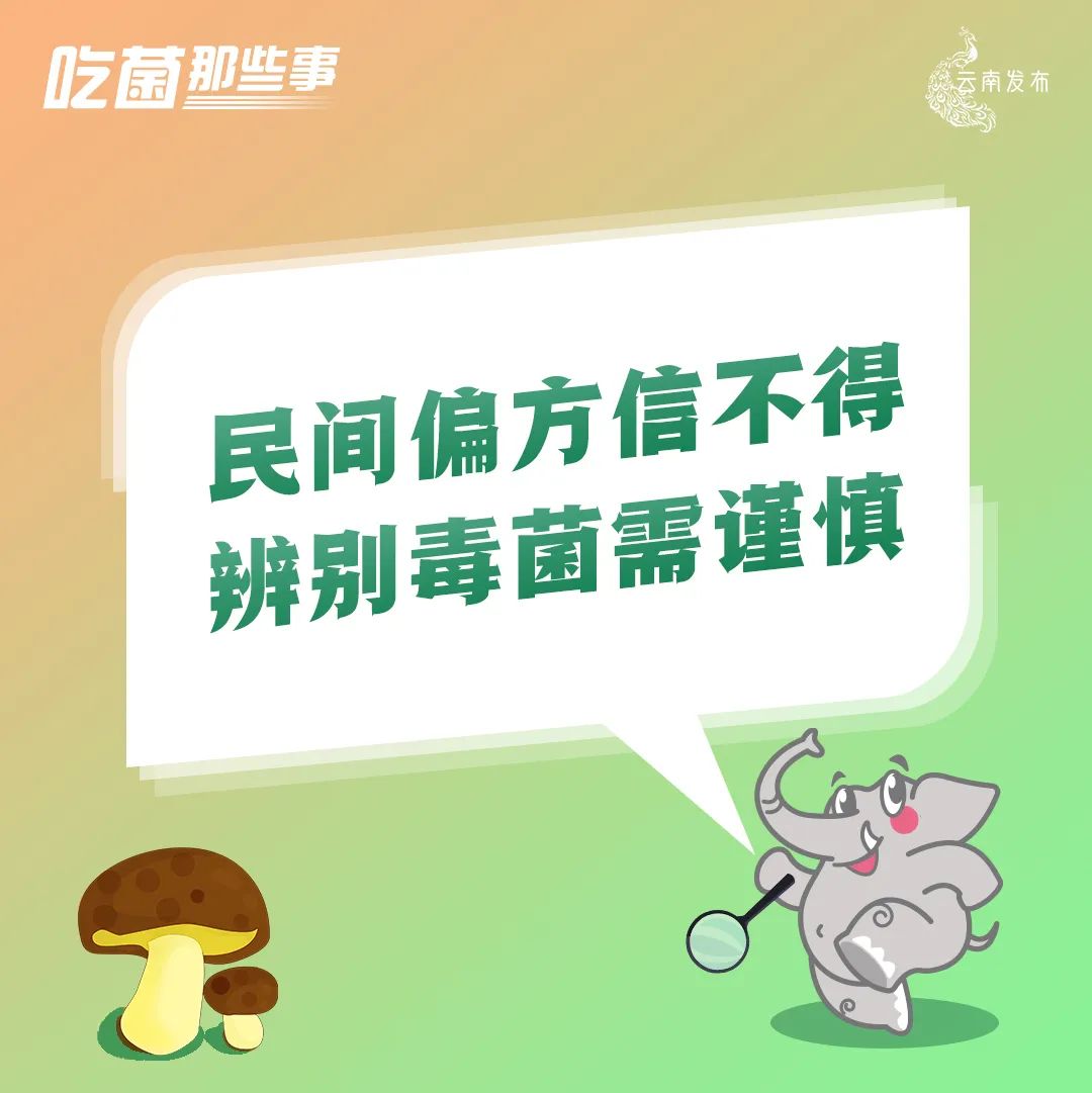 云南法制报
