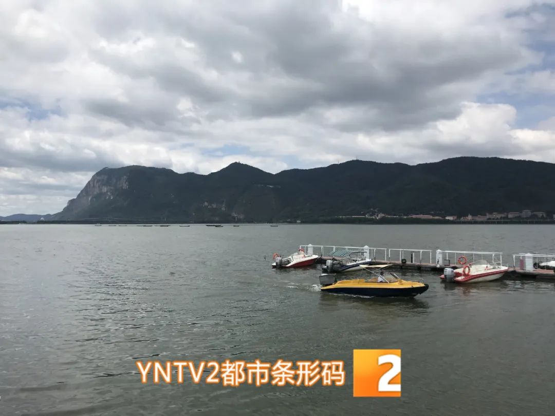 昆明信息港/cnkmxxg