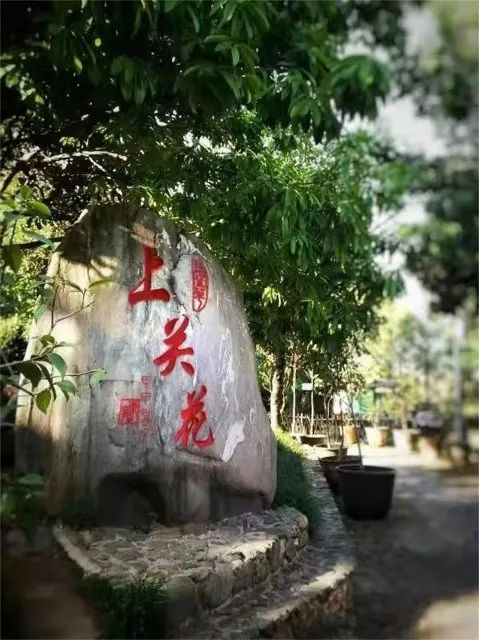 大理日报