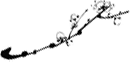 魅力禄劝