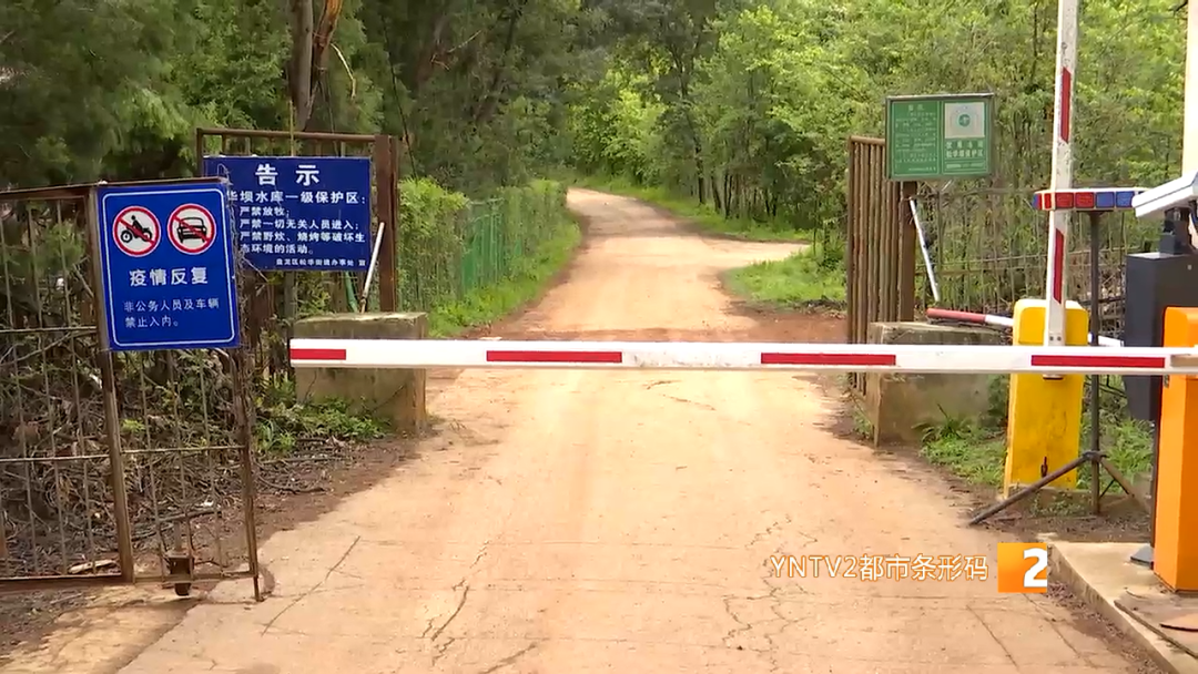 春城晚报