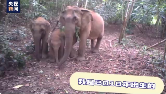 昆明信息港/cnkmxxg