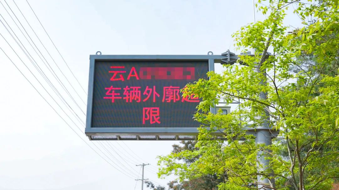 呈贡发布
