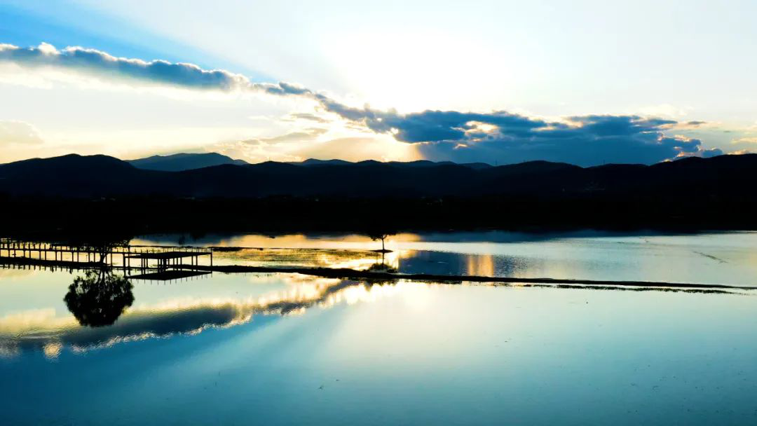 云南省文化和旅游厅