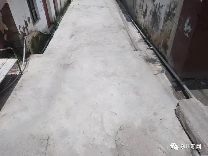 东川新闻