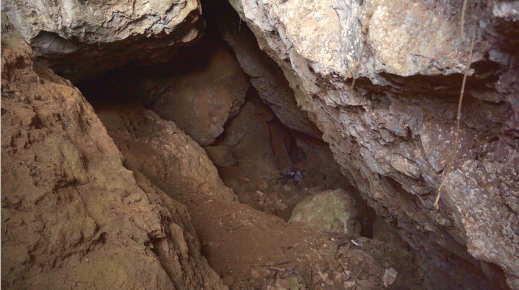 云南省文化和旅游厅